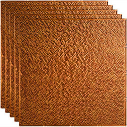 ACP - FBFCT - Fasade Border Fill Decorative Vinyl 2ft x 2ft Lay In Ceiling Tile (5 Pack)