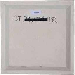 Ekena Millwork - CT24X24TR - 23 7/8"W x 23 7/8"H x 2 1/2"P Traditional Ceiling Tile