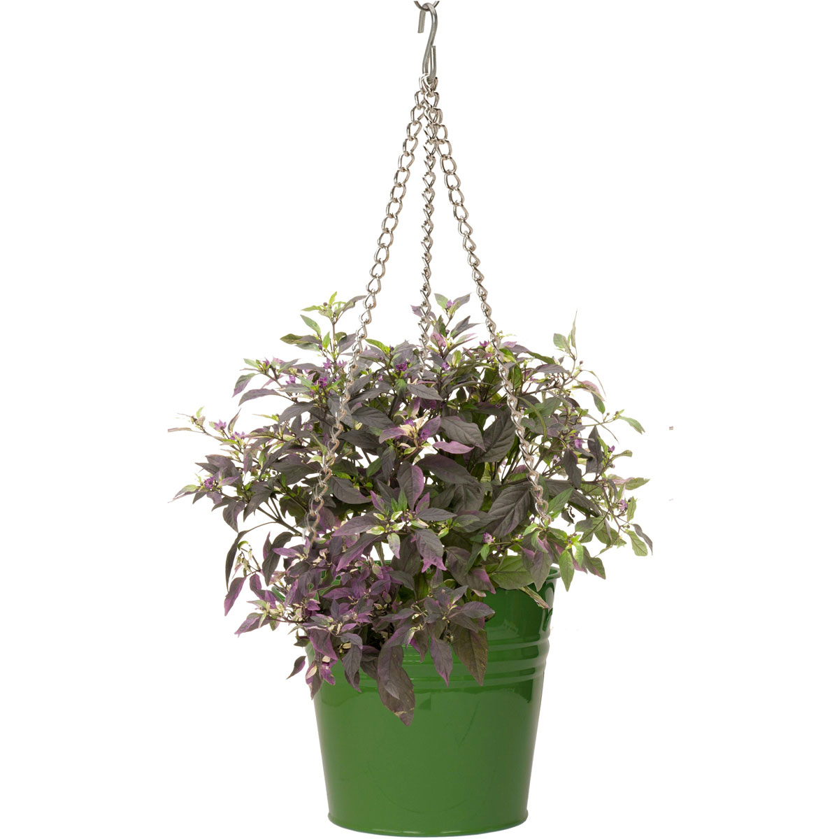 modern indoor plant stands for multiple plants Modern Elevated Planter and Plant Stand Set